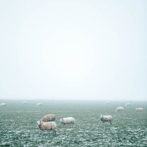 Гид по Тесселу